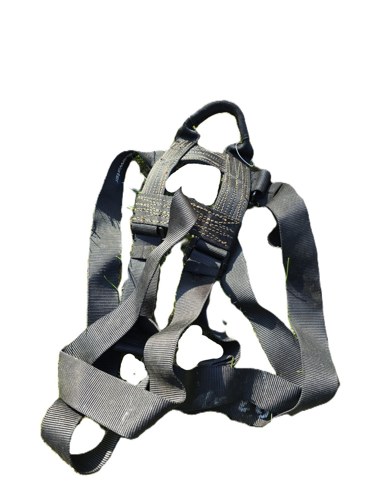 Image #3