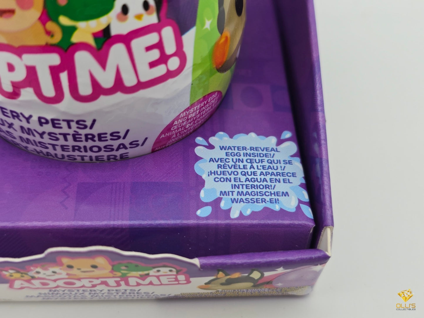 Image #6