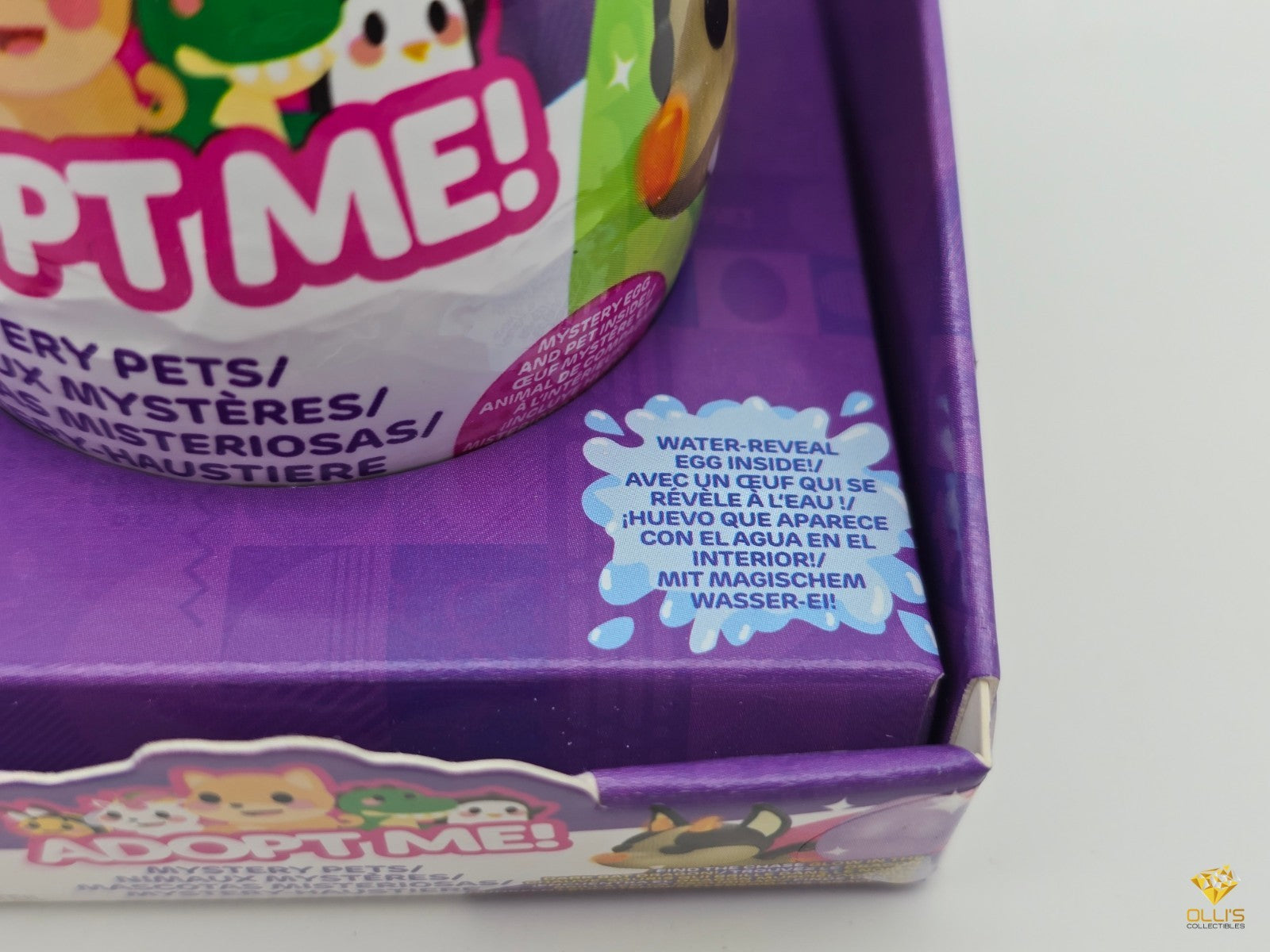 Image #6