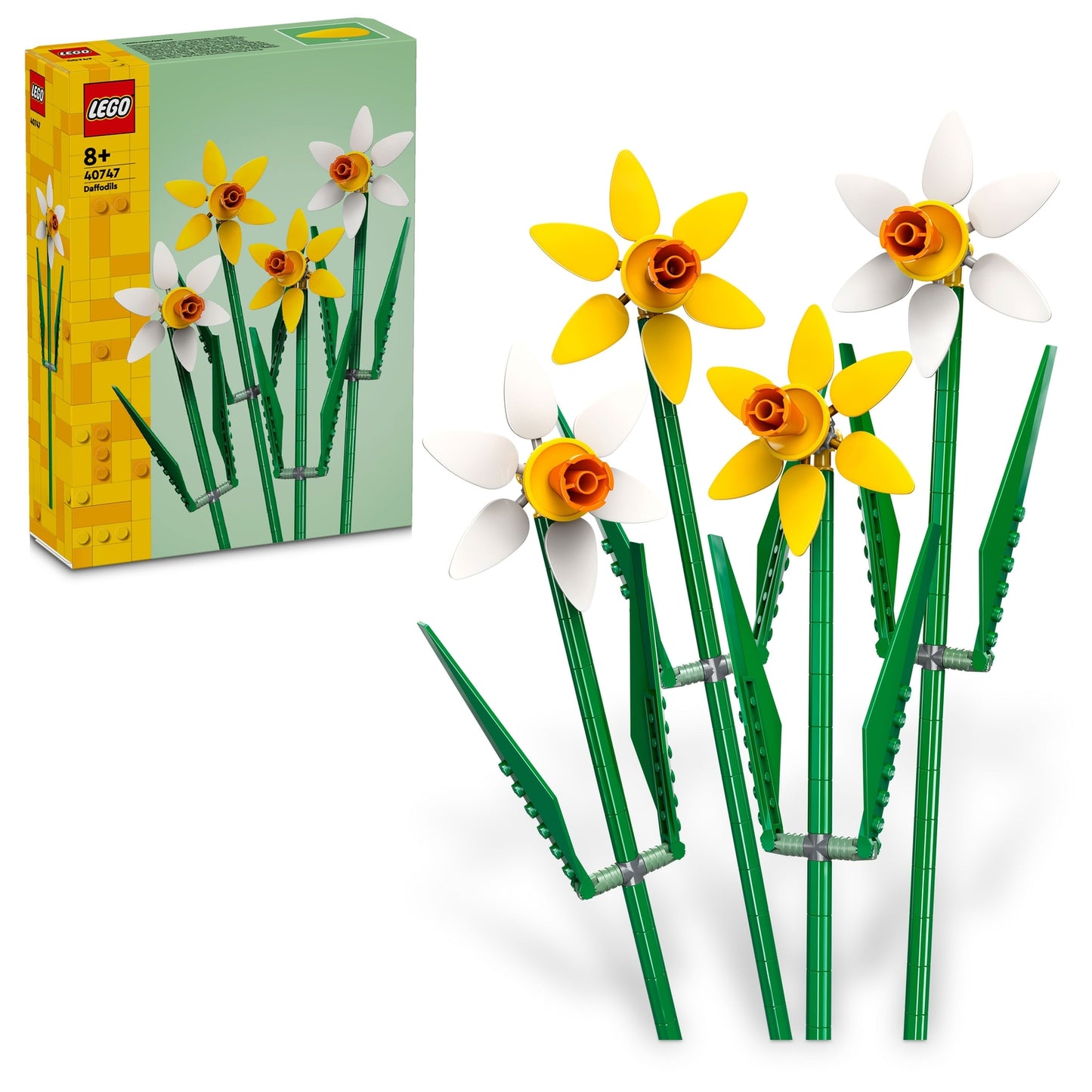 Image #StockPhoto